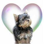 Yorkshire Terrier Heart photo sculptures