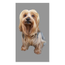 Yorkshire Terrier Lover Business Card