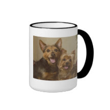 Yorkshire Terrier Miracle Mug