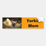 Yorkshire Terrier Mom Bumper Sticker