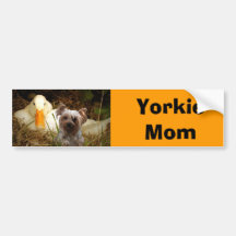 Yorkshire Terrier Mom Bumper Sticker