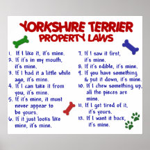 YORKSHIRE TERRIER PL2 PRINT