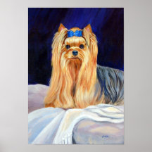Yorkshire Terrier Print Poster