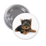 Yorkshire Terrier Puppy Button