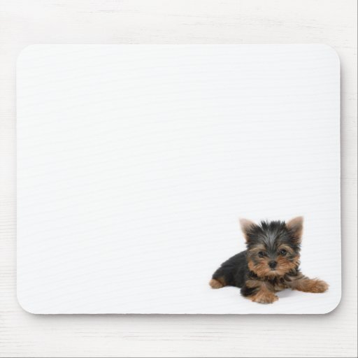 Yorkshire Terrier Puppy Mousepad
