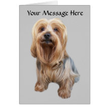 Yorkshire Terrier So Cute Greeting Card