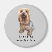 Yorkshire Terrier So Cute Magnet