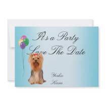 Yorkshire Terrier - Yorkie Kisses Announcement