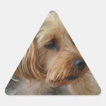 Yorkshire Terrier Zac Stickers