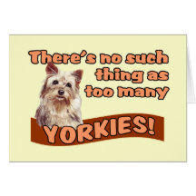 YORKSHIRE TERRIERS CARD