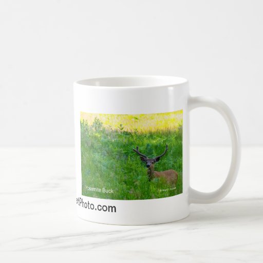 Yosemite Buck California Products Mugs