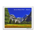 Yosemite (California) Postcard