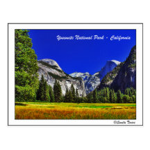 Yosemite (California) Postcard