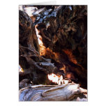 Yosemite Deer - Card