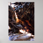 Yosemite Deer Poster