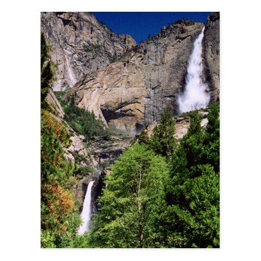 Yosemite Falls Postcard