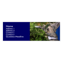 Yosemite Falls Profile Card Template Business Card