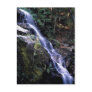 Yosemite Falls, Yosemite National Park, California Post Cards