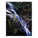 Yosemite Falls, Yosemite National Park, California Post Cards