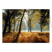 Yosemite National Park Cards and Gifts