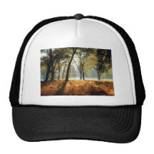 Yosemite National Park Cards and Gifts Hat