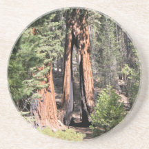 Yosemite national park clothespin photo coaster