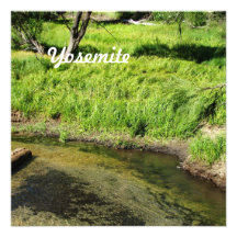Yosemite National Park Custom Invitation