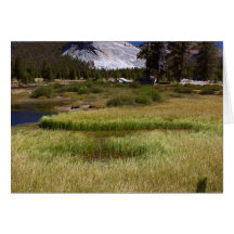 Yosemite National Park  Greeting Cards