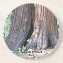 Yosemite national park sequoia trees photo coaster