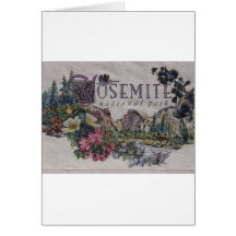Yosemite National Park Wildlife Cards