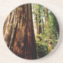 Yosemite Redwoods Drink Coasters
