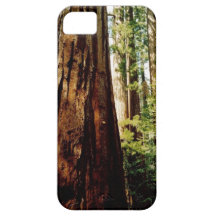 Yosemite Redwoods iPhone 5 Cover
