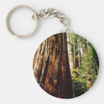 Yosemite Redwoods Key Chains