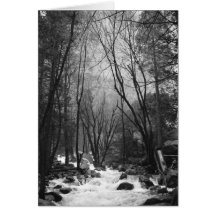 Yosemite Valley Note Card