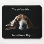 You ain't nothin but a hound dog