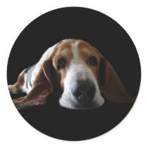 You ain't nothin but a hound dog