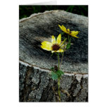 You and Me blank greeting card