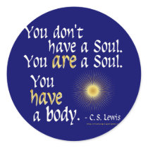 You are a Soul... Stickers