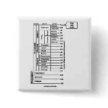 You Are Here (Geological Age Earth's History)