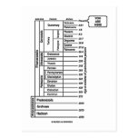You Are Here (Geological Age Earth's History) Postcards