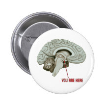 You Are Here Pinback Button