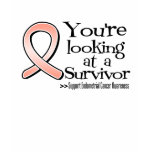 You are Looking at a Endometrial Cancer Survivor t-shirts