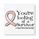 You are Looking at a Uterine Cancer Survivor magnets