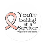 You are Looking at a Uterine Cancer Survivor stickers