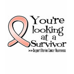 You are Looking at a Uterine Cancer Survivor t-shirts