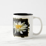 You Are My Hiding Place mug