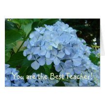 You are the Best Teacher! 1st grade 2nd grade 3rd Greeting Card