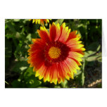 You brighten my day greeting card