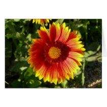 You brighten my day greeting card