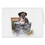 You can't be serious? greeting cards